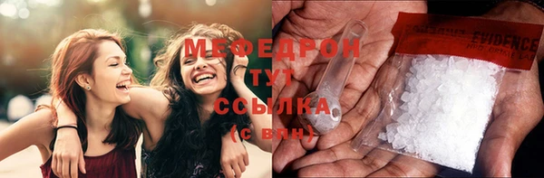 соль ск Ельня