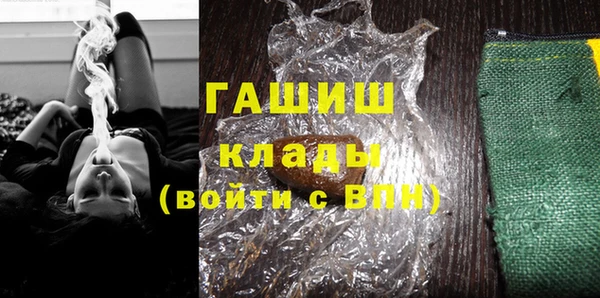 соль ск Ельня