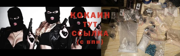соль ск Ельня