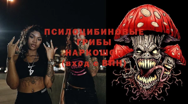 соль ск Ельня