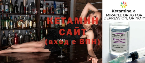 соль ск Ельня