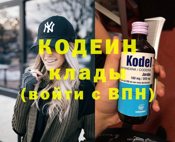соль ск Ельня