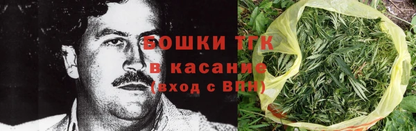 эйфоретик Елизово