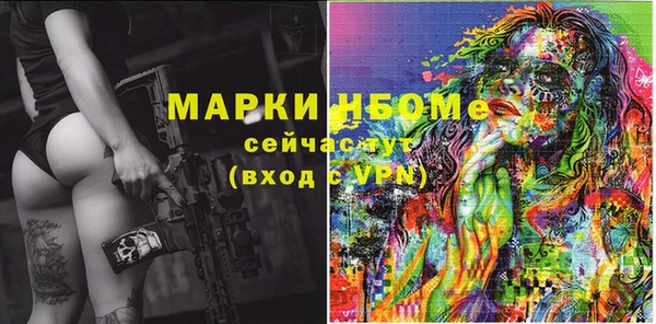 соль ск Ельня