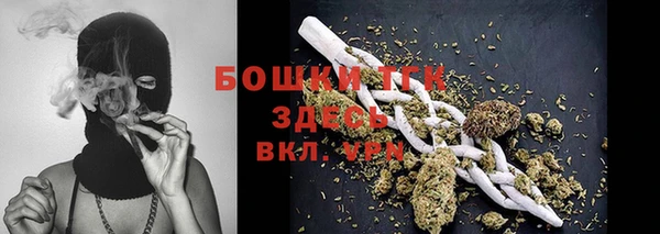 соль ск Ельня