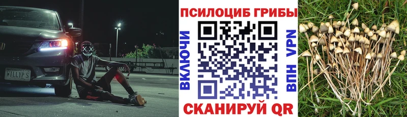 Галлюциногенные грибы ЛСД  Купить закладки  Белореченск 