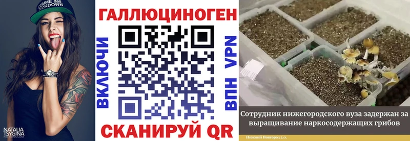 Псилоцибиновые грибы Psilocybine cubensis Белореченск