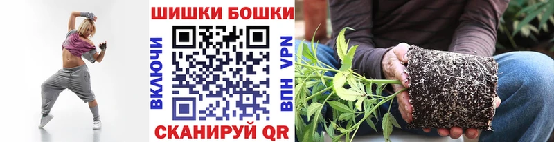 Бошки марихуана ГИДРОПОН  Купить  Белореченск 